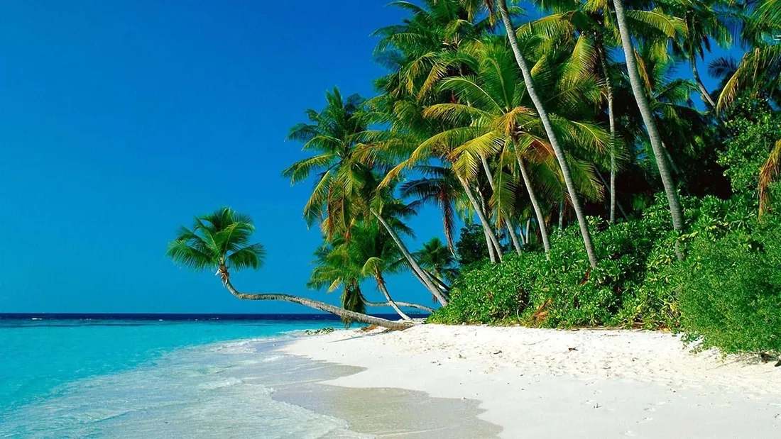 Preppy Beach
