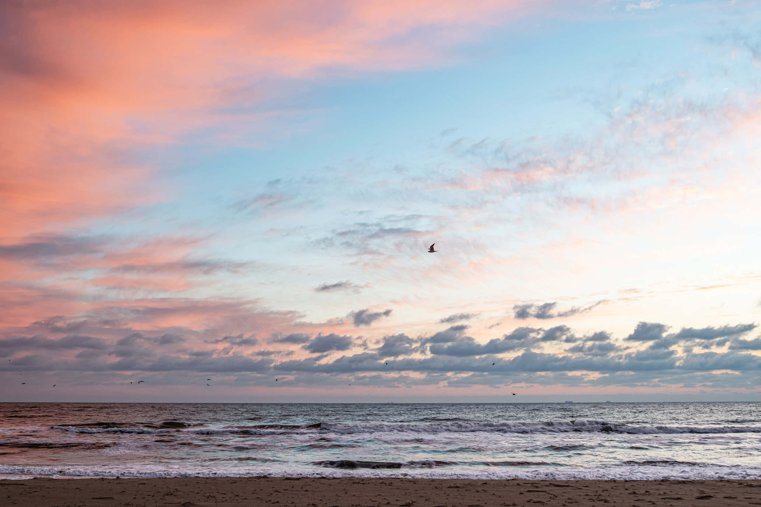 pastel sunset, pink and blue clouds, gentle waves, Full HD Desktop Wallpaper