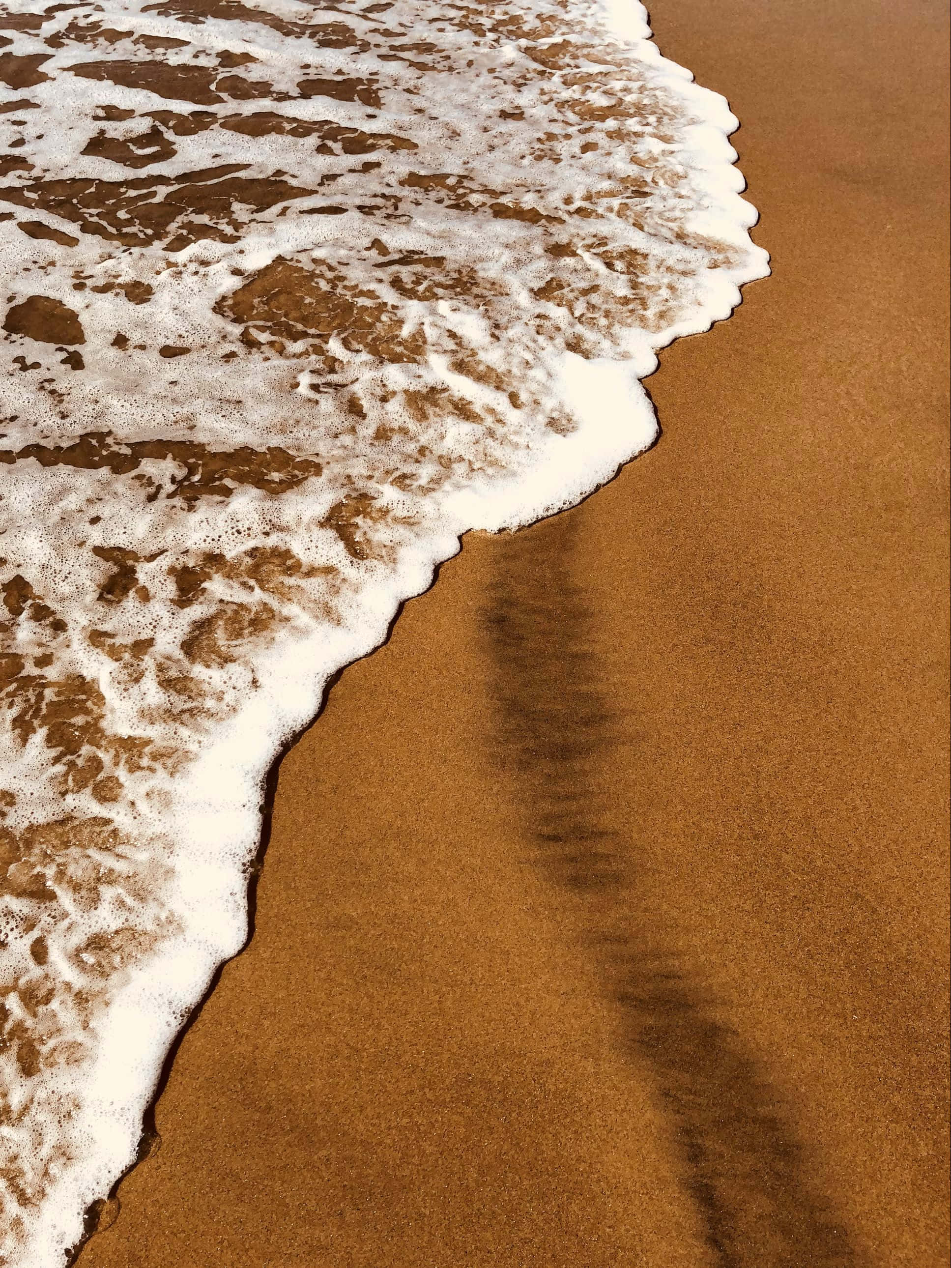 Foamy Sea, sandy beach, golden sand, 2K Phone Wallpaper