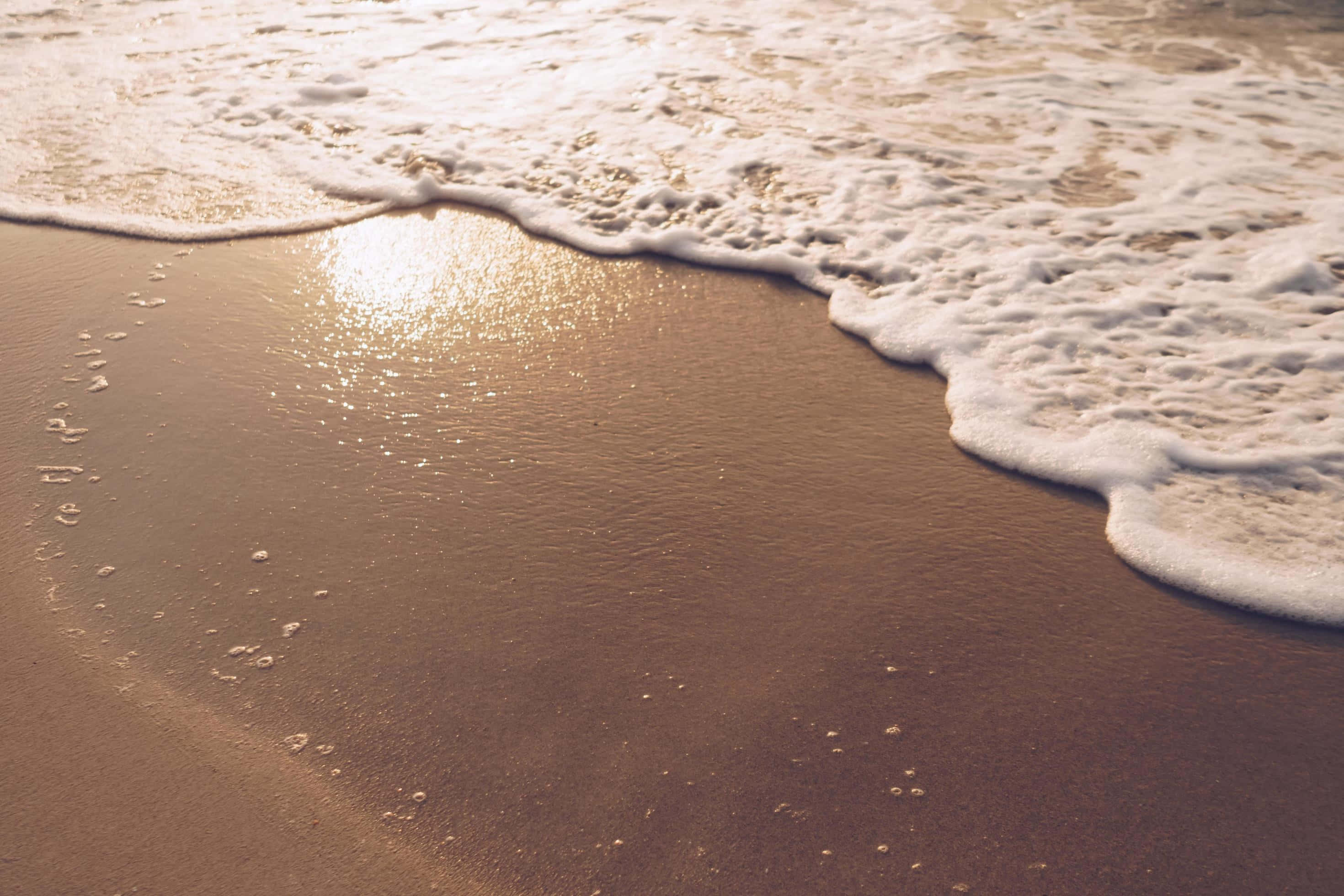 Golden Sunset, foam beach, wet sand, 2K Desktop Wallpaper