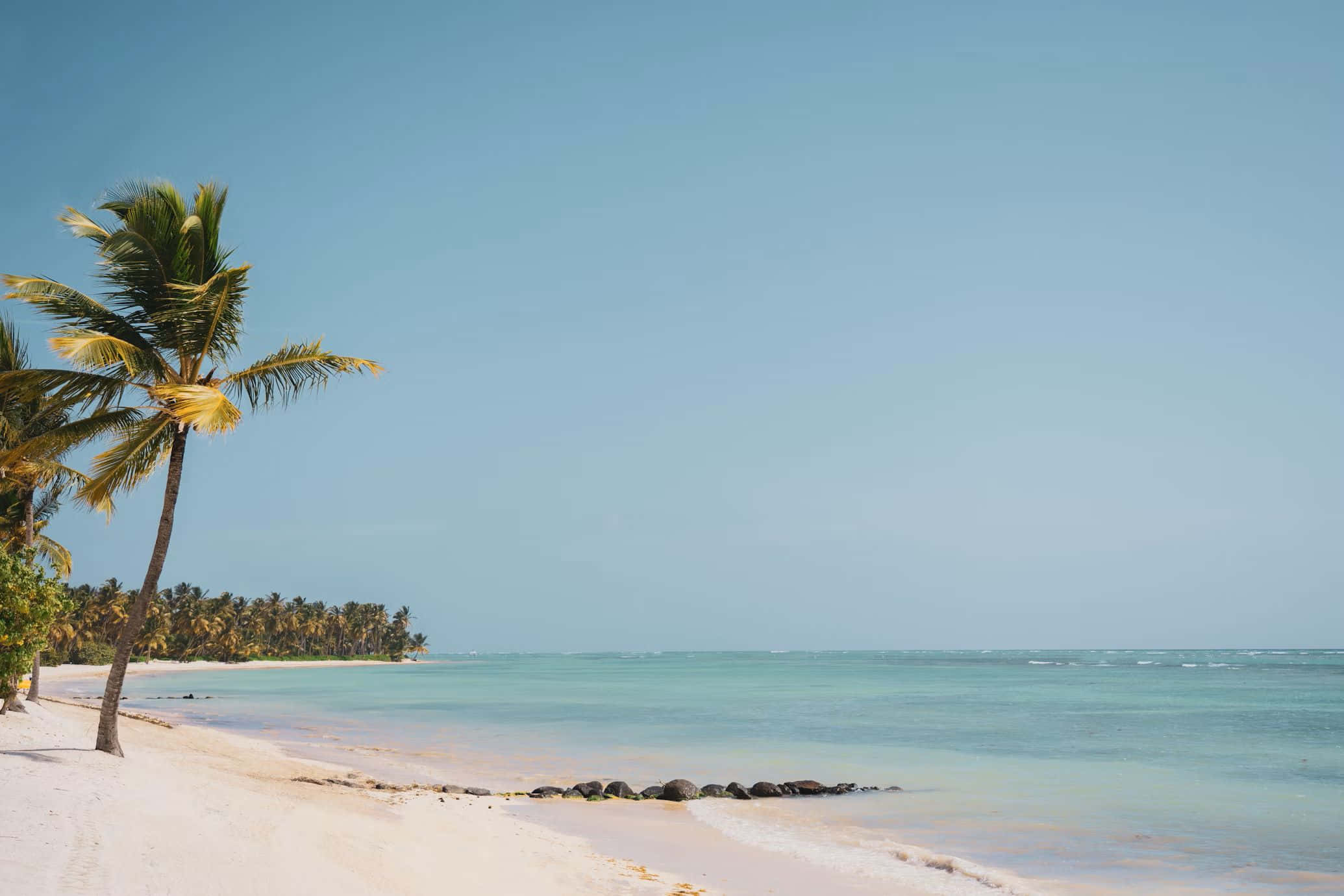 tropical beach, white sand, palm trees, Full HD Desktop Wallpaper