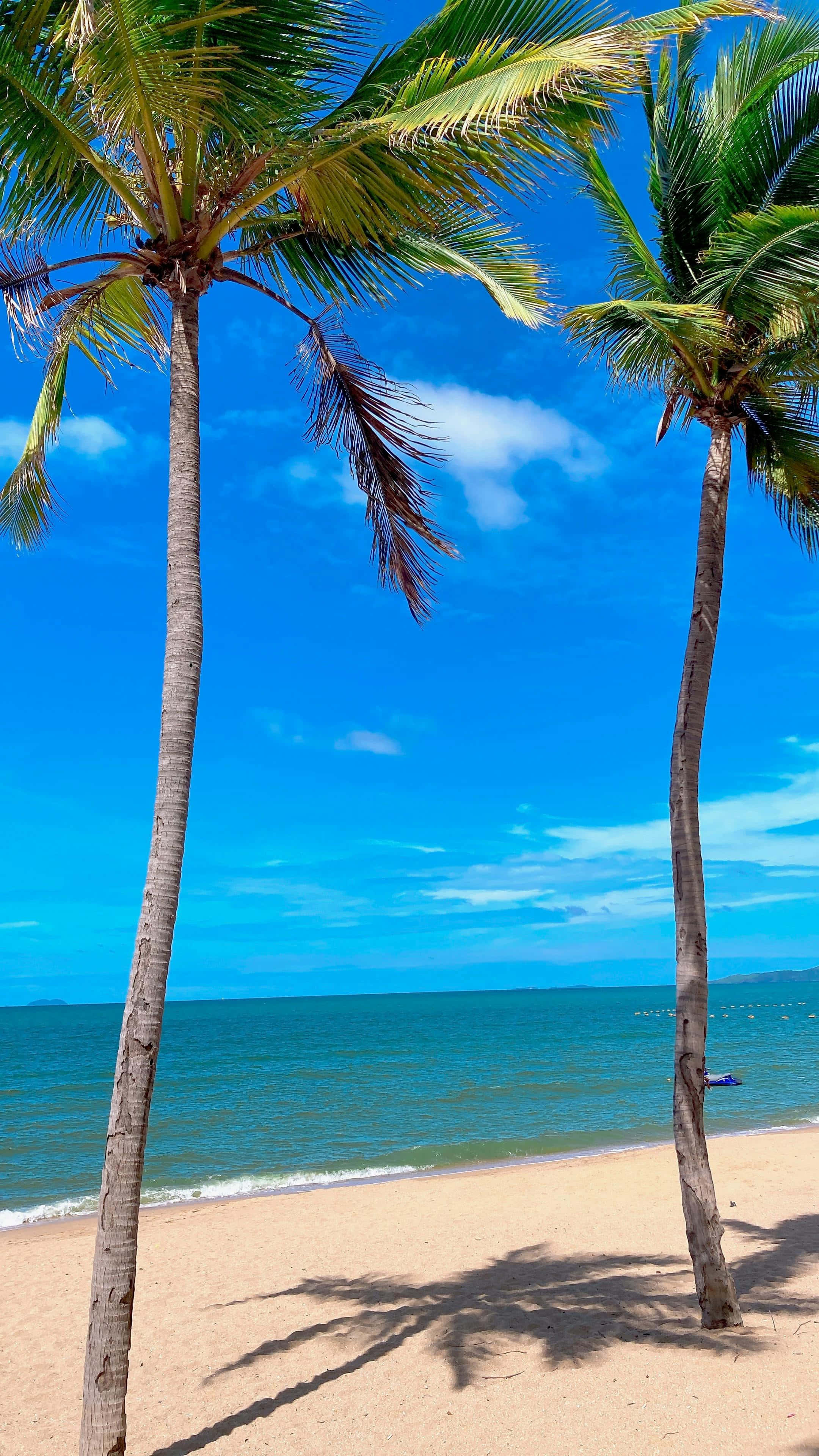 tropical beach, palm trees, golden sand, 4K Phone Wallpaper