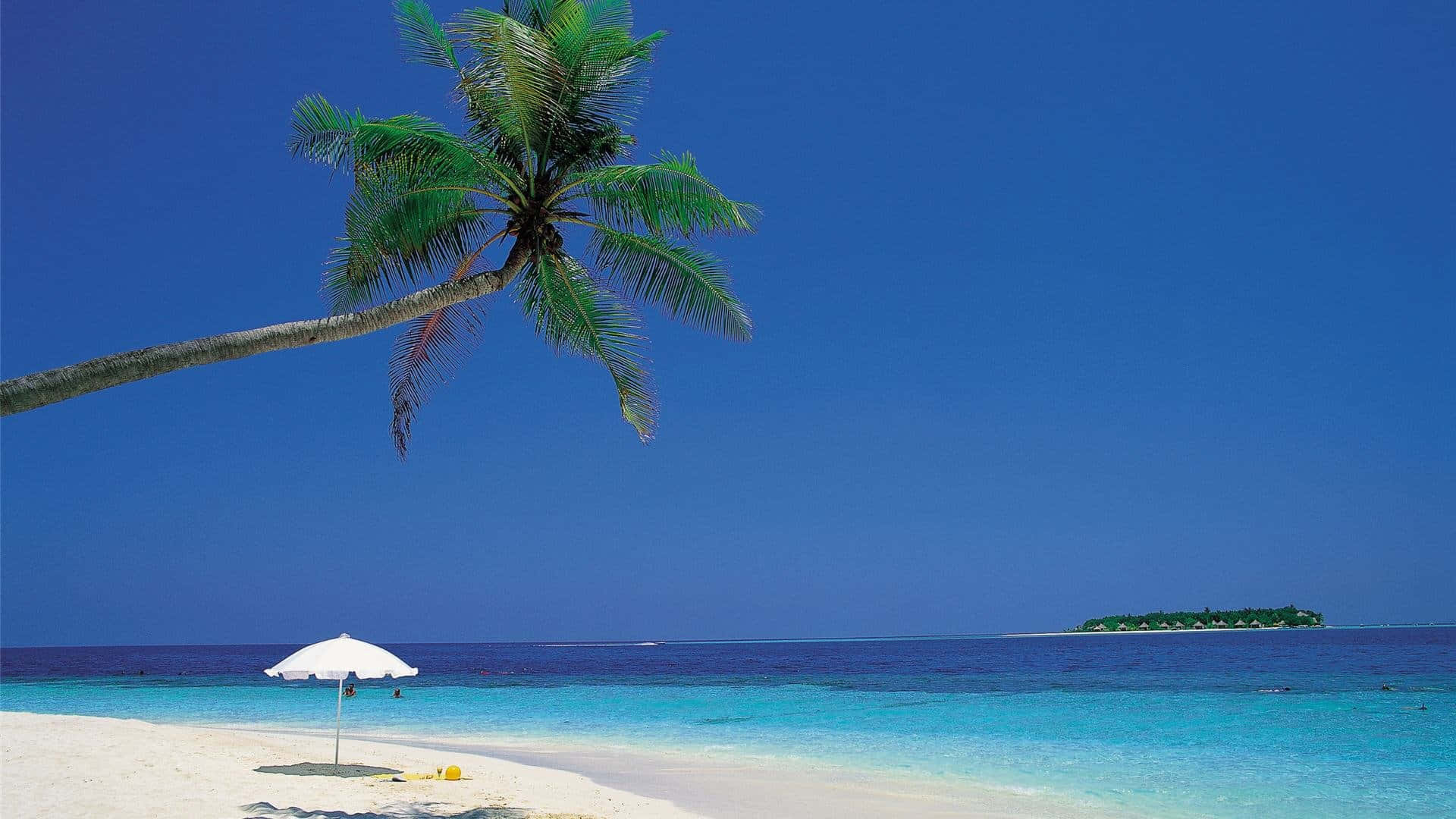 tropical beach, pristine white sand beach, turquoise waters, Full HD Desktop Wallpaper