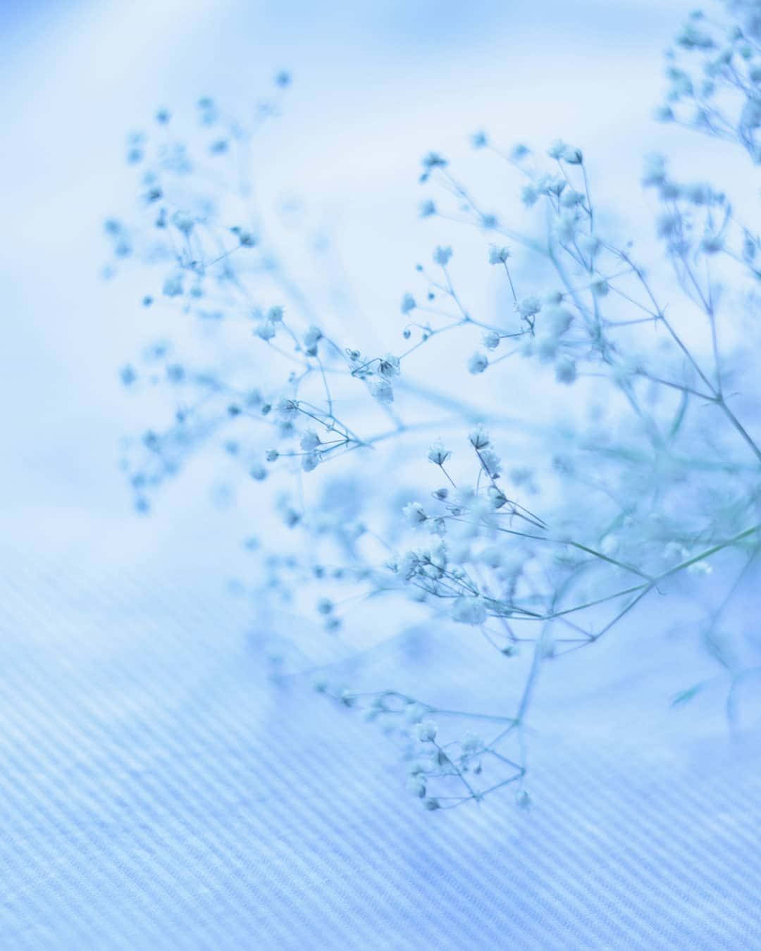 baby's breath, pastel blue, textured fabric, HD Phone Wallpaper