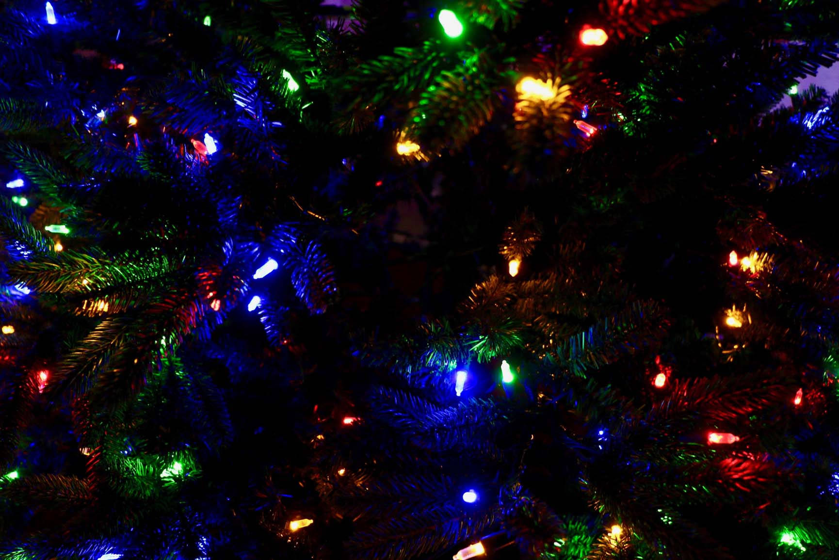 Preppy Christmas, Christmas tree, twinkling multicolored lights, HD Desktop Wallpaper
