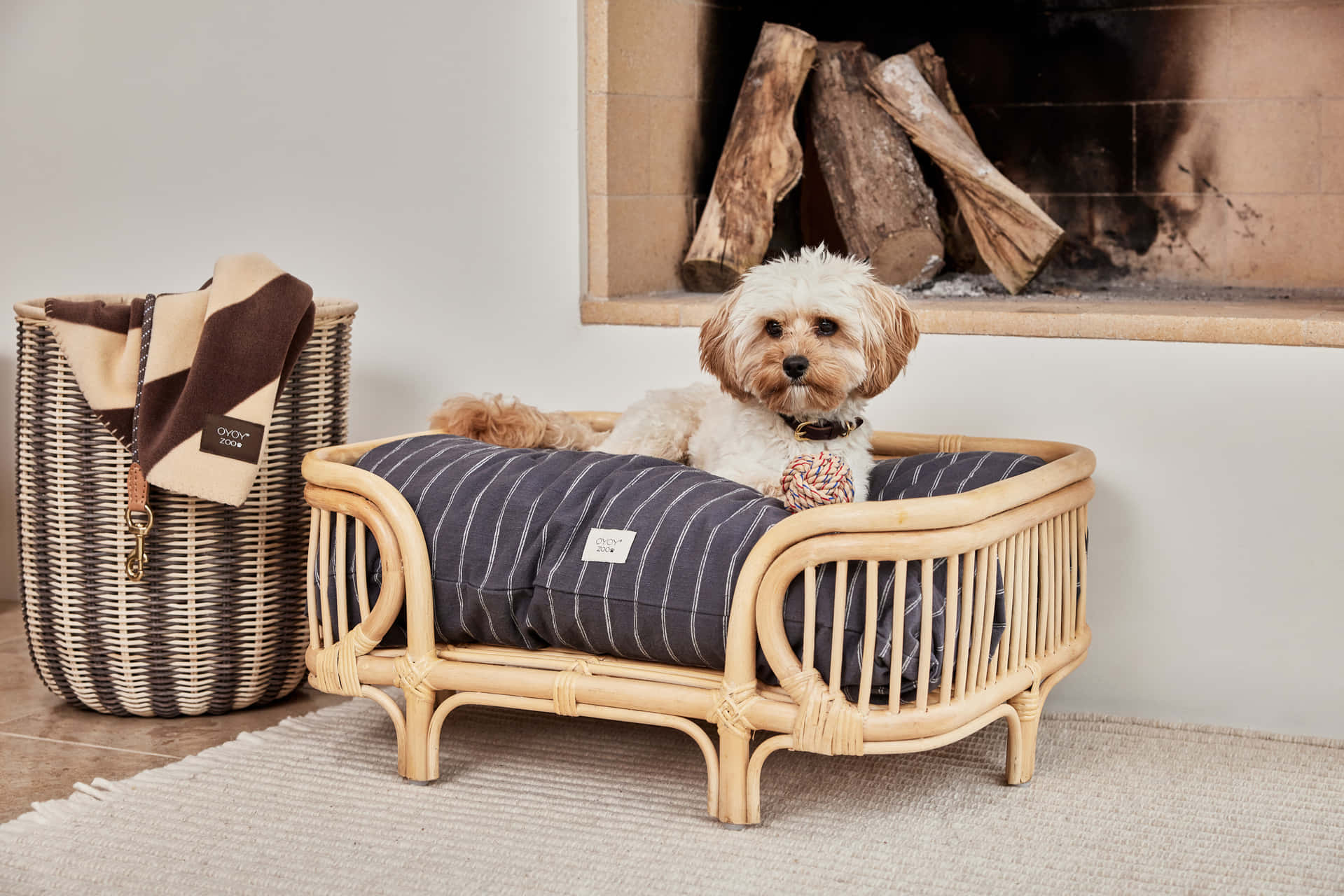 Preppy Dog, rattan pet bed, wicker basket, HD Desktop Wallpaper