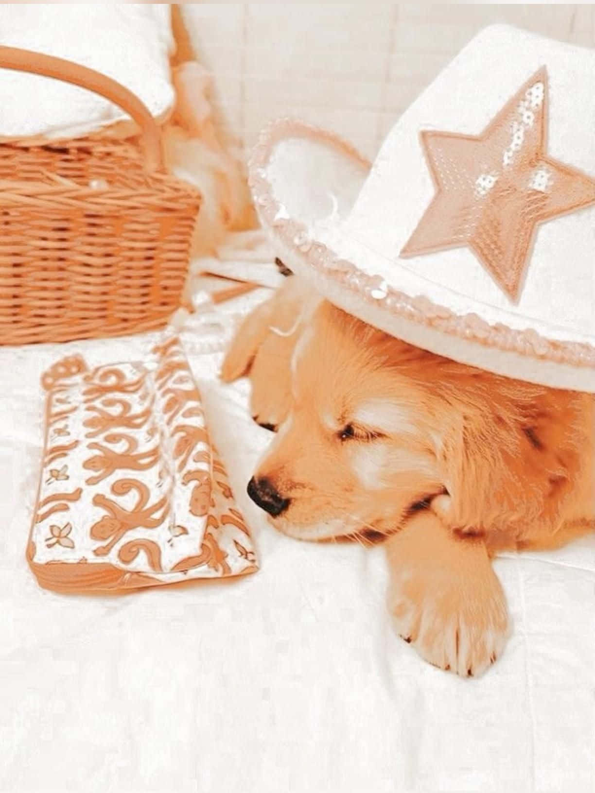 golden retriever puppy, white cowboy hat with a star, wicker basket, HD Phone Wallpaper