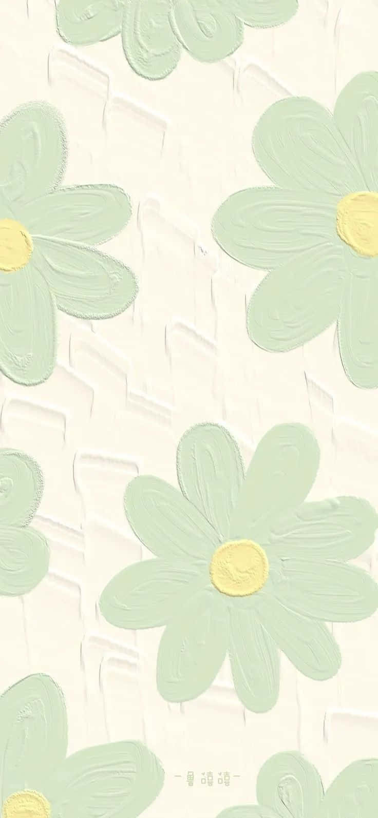 mint green, daisies, yellow centers, HD Phone Wallpaper
