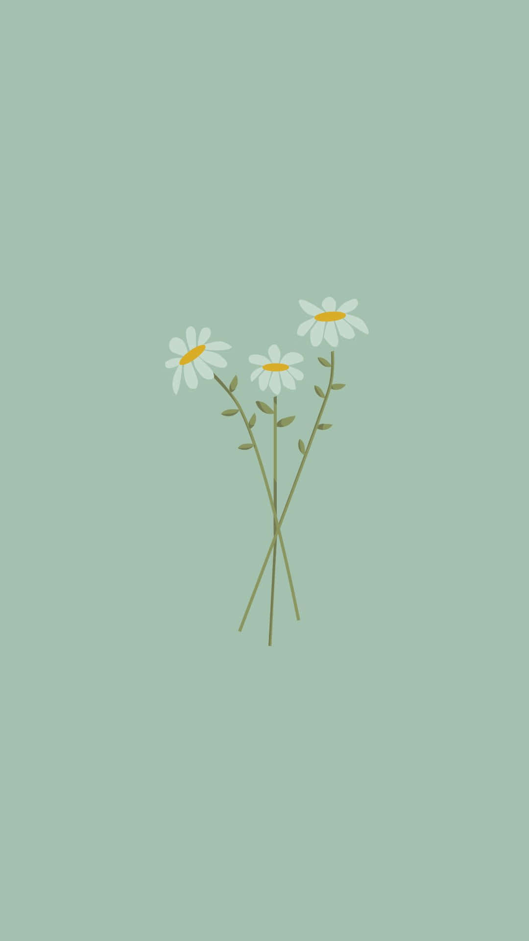 pastel daisy simplicity, daisies, yellow centers, Full HD Phone Wallpaper