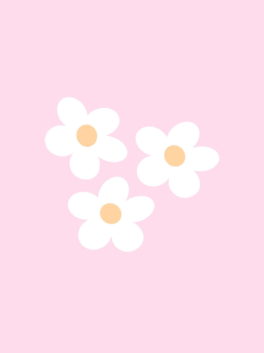 Danish Pastel Floral Simplicity, white daisies, pale yellow centers, SD Phone Wallpaper