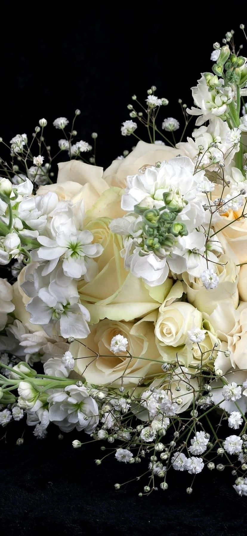 white bouquet, creamy white roses, baby's breath, HD Phone Wallpaper