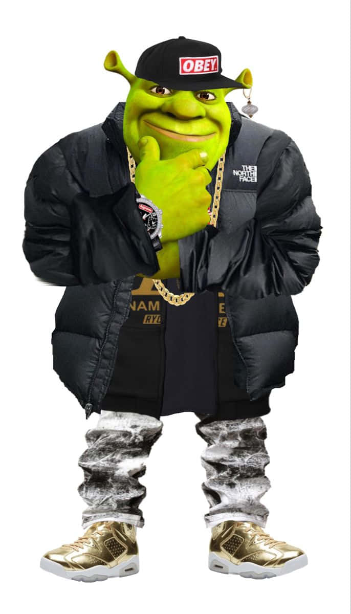 Shrek, black puffer jacket, gold chains, SD Phone Wallpaper