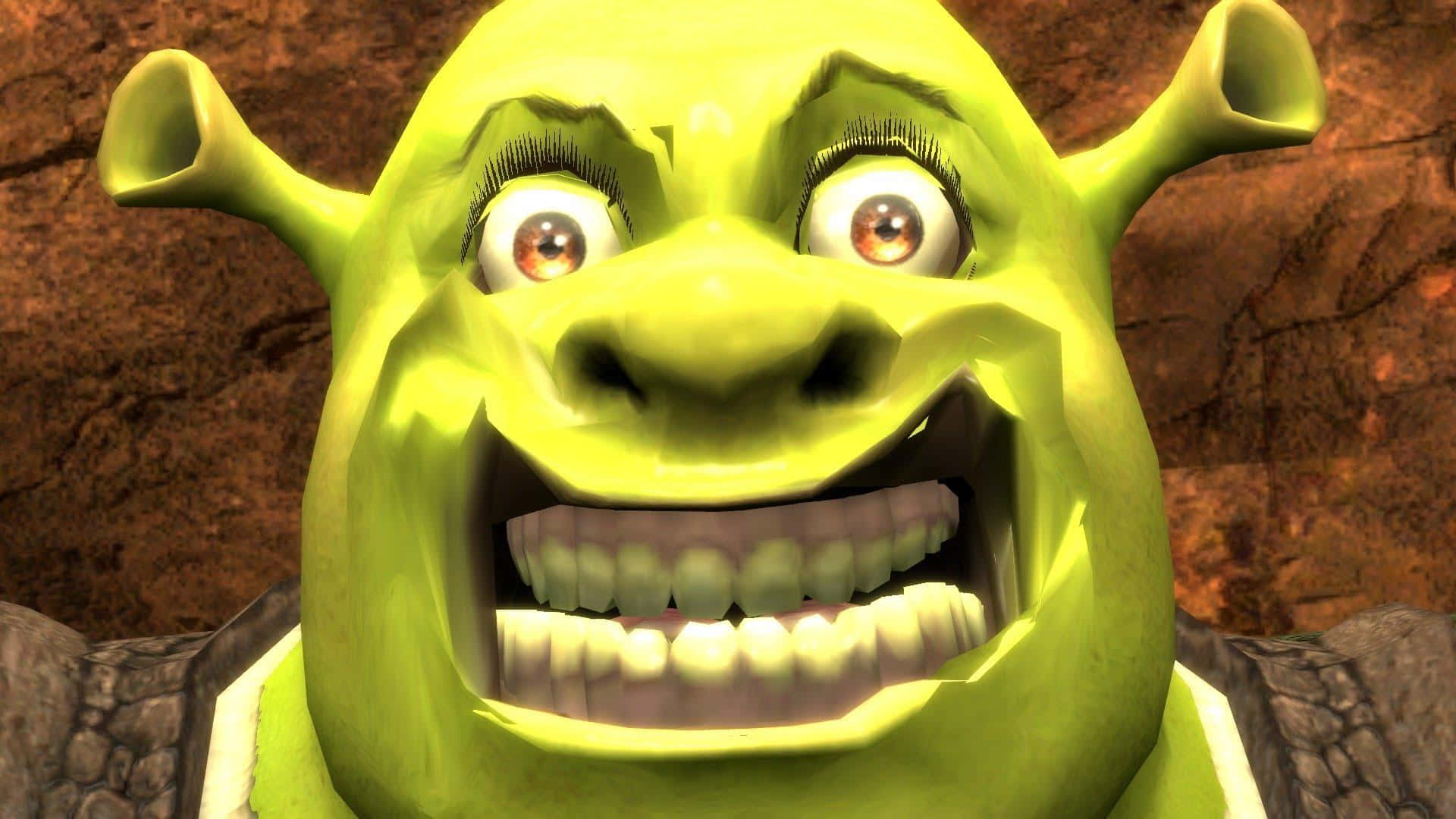 Shrek, toothy grin, wide eyes, Full HD Desktop Wallpaper
