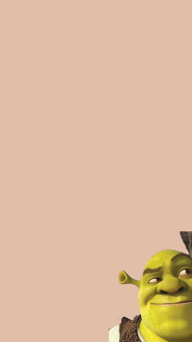 Shrek, peach background, green face, HD Phone Wallpaper