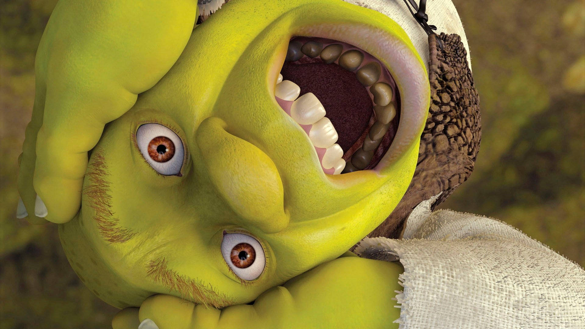 Shrek, close-up, wide eyes, Full HD Desktop Wallpaper
