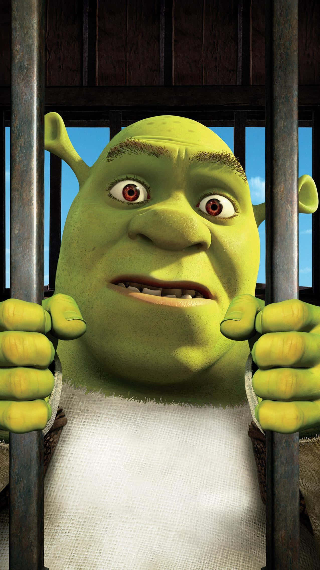 Shrek, jail cell, metal bars, Full HD Phone Wallpaper