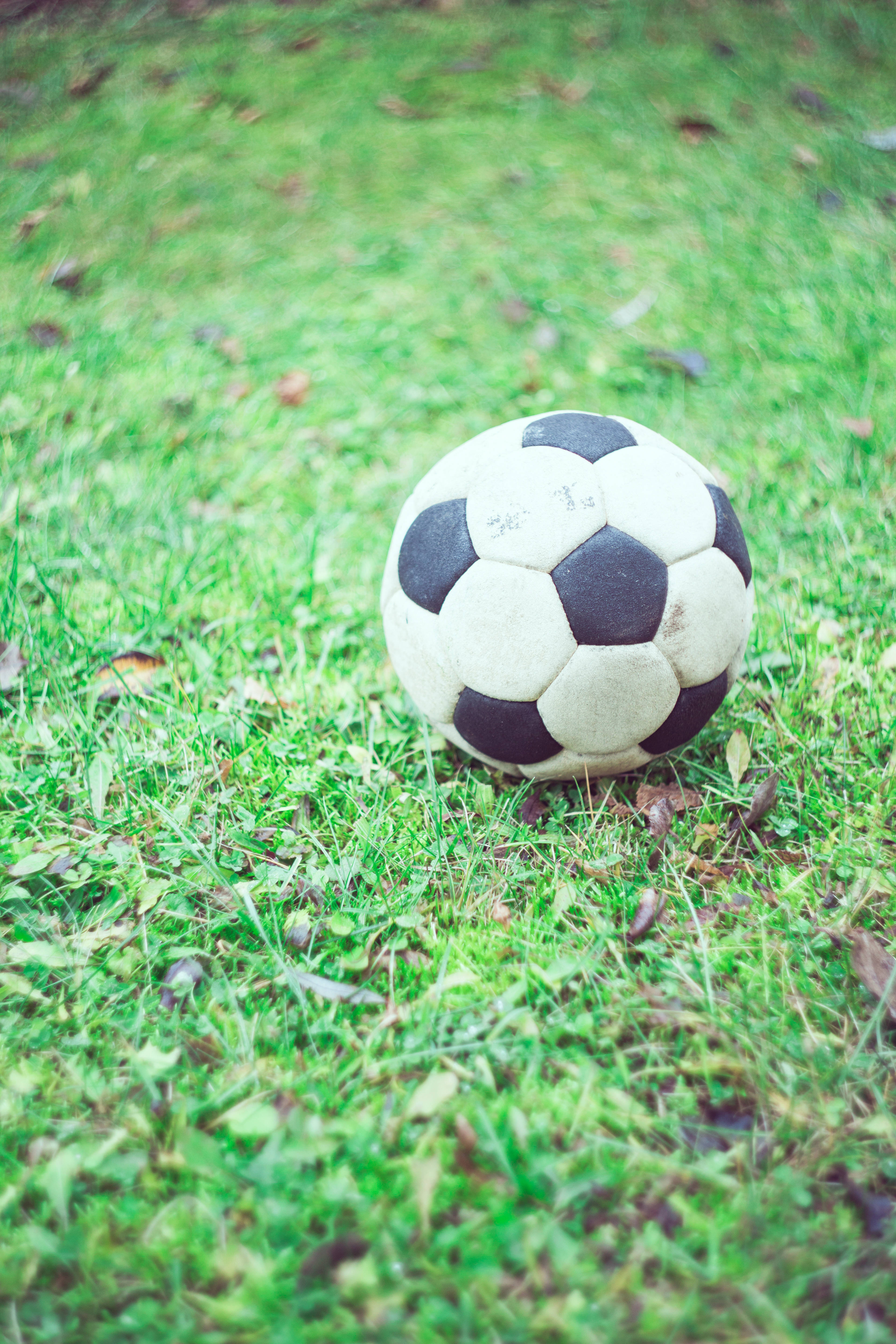 soccer ball, black and white, vibrant green grass, 5K Phone Wallpaper