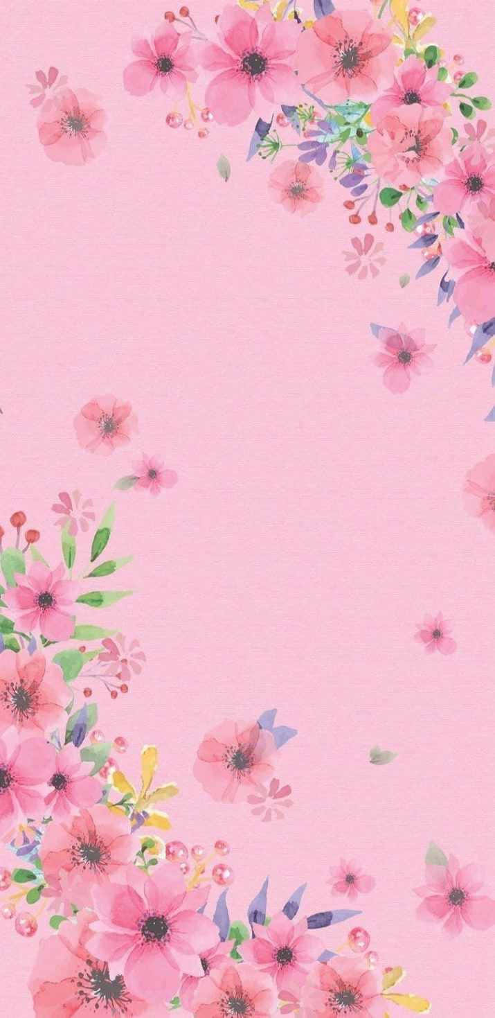 spring floral, pink background, blossoms, HD Phone Wallpaper