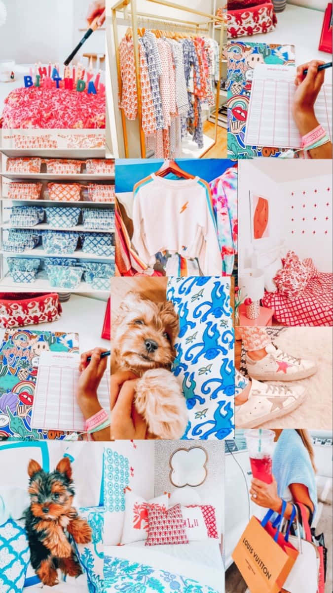 Preppy Summer, birthday cake, fluffy dog, SD Phone Wallpaper