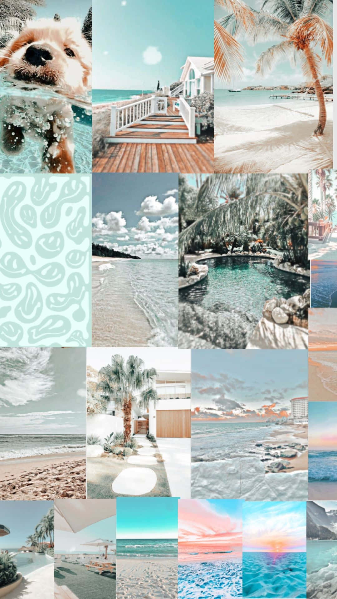 Preppy Summer Vibes Collage, tropical collage, dogs in water, Full HD Phone Wallpaper