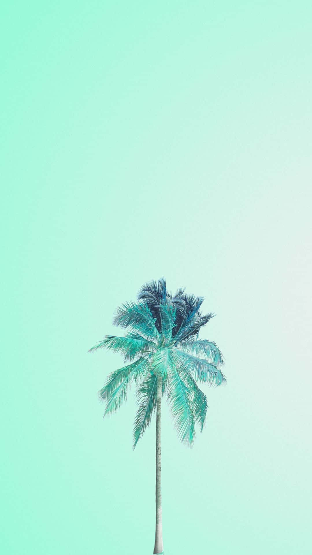 pastel summer, mint green, palm tree, Full HD Phone Wallpaper
