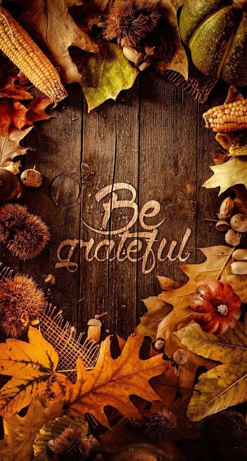 Be grateful, autumn leaves, corn, HD Phone Wallpaper