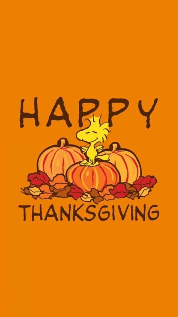 Happy Thanksgiving Woodstock Pumpkins, yellow bird, pumpkins, HD Phone Wallpaper
