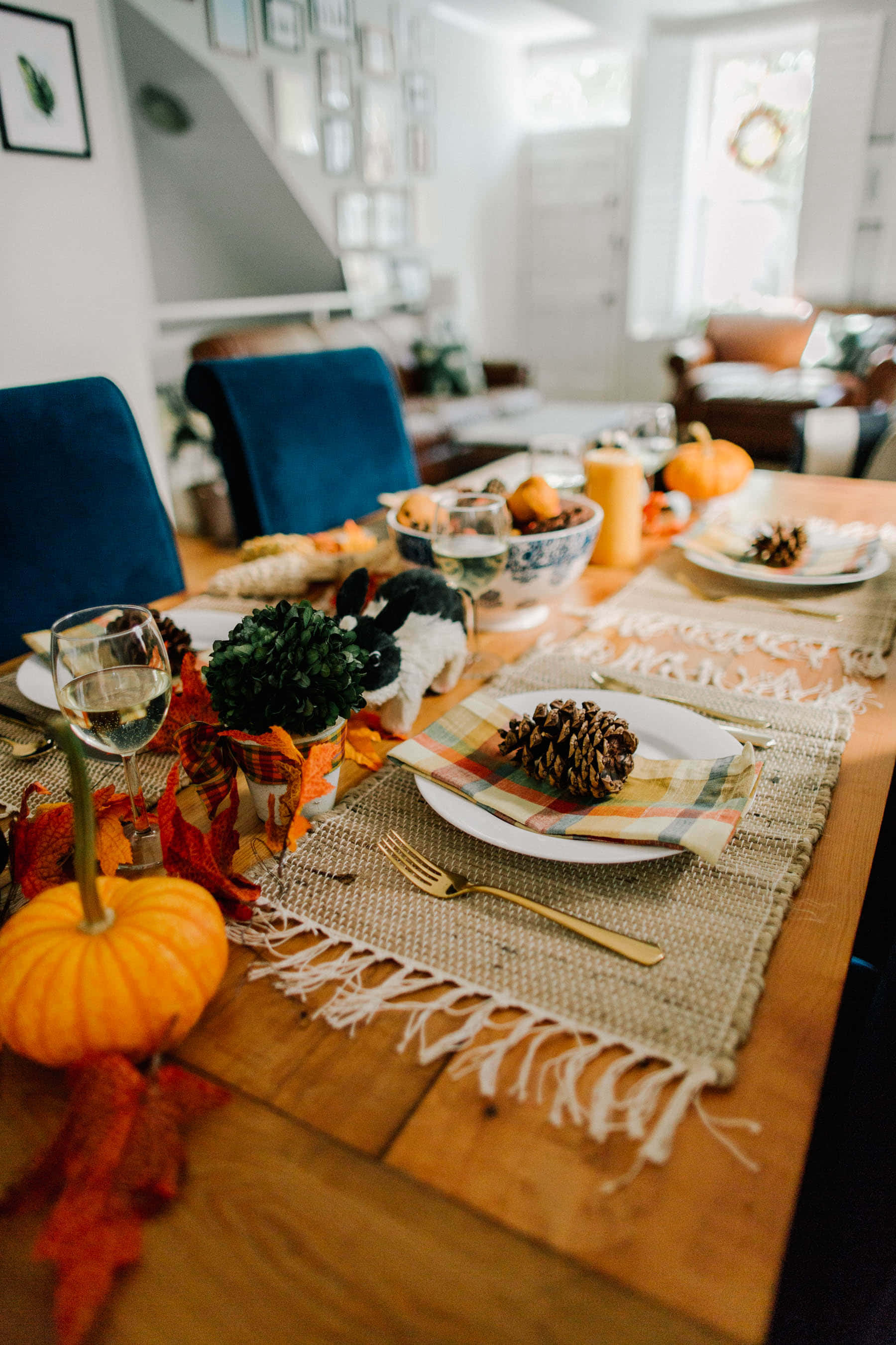 Preppy Thanksgiving, pumpkins, pinecones, 2K Phone Wallpaper
