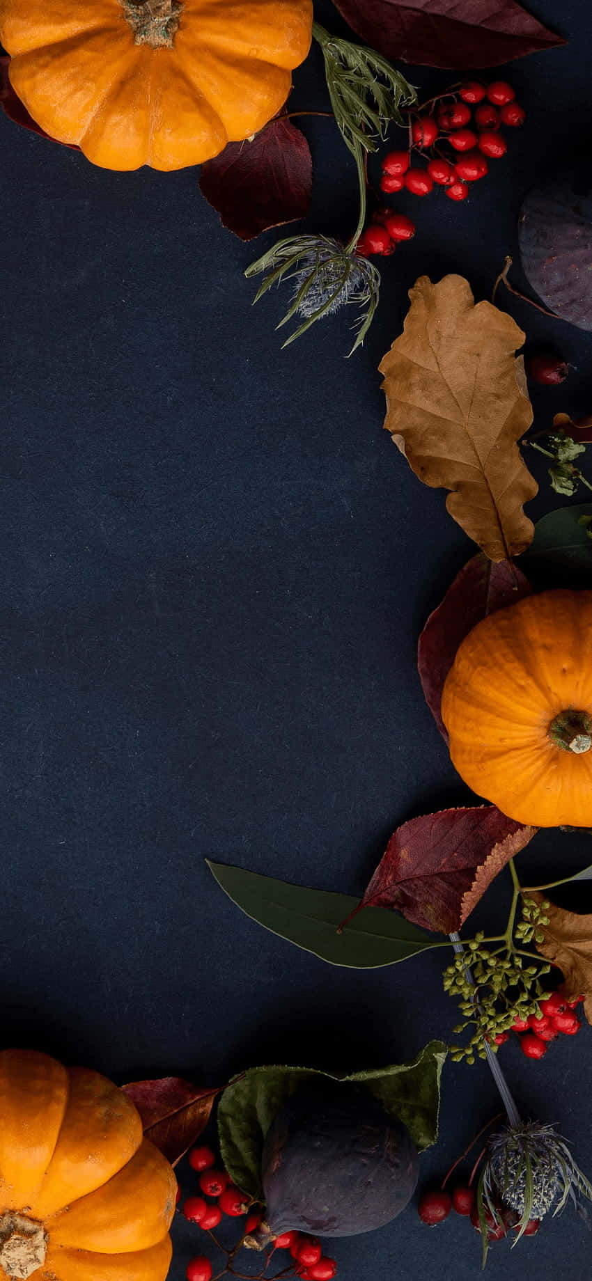Preppy Thanksgiving, pumpkin arrangement, autumnal pumpkins, HD Phone Wallpaper