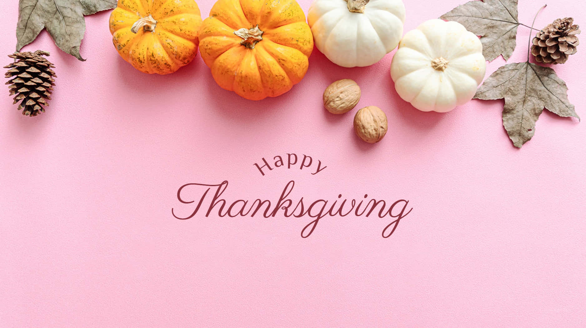 Preppy Thanksgiving, pink background, orange and white pumpkins, HD Desktop Wallpaper