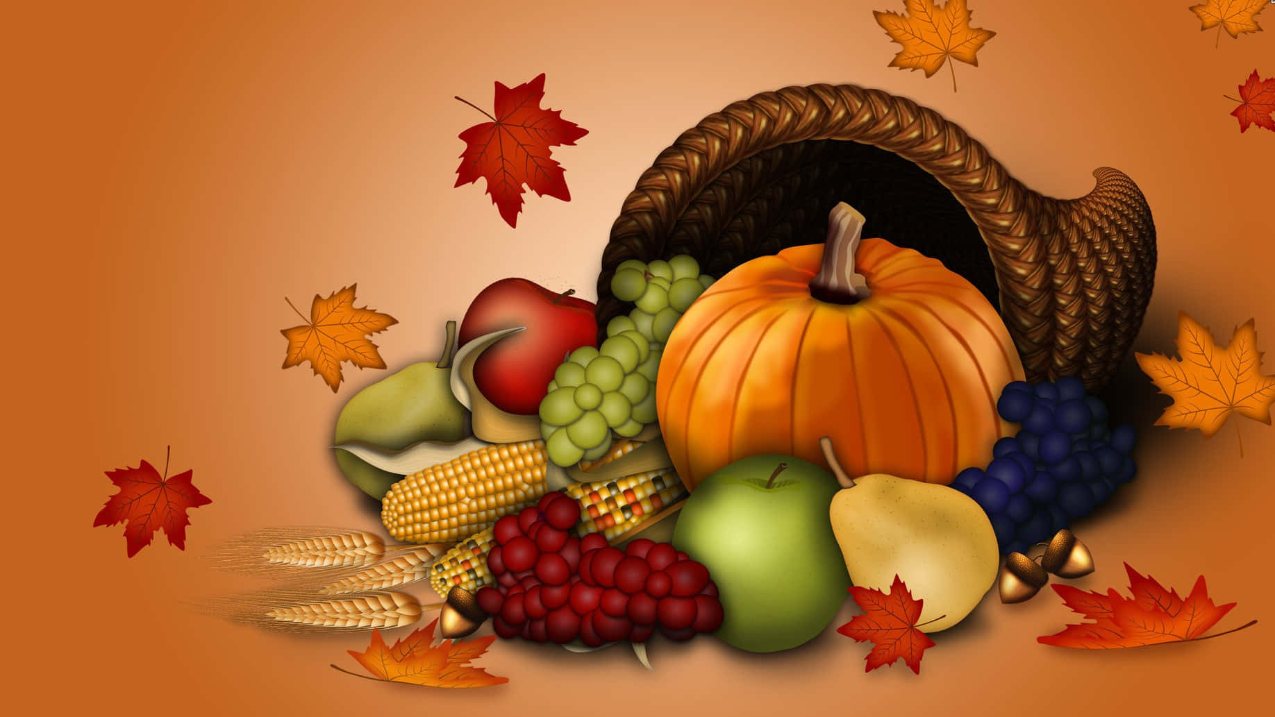 cornucopia, pumpkins, grapes, HD Desktop Wallpaper
