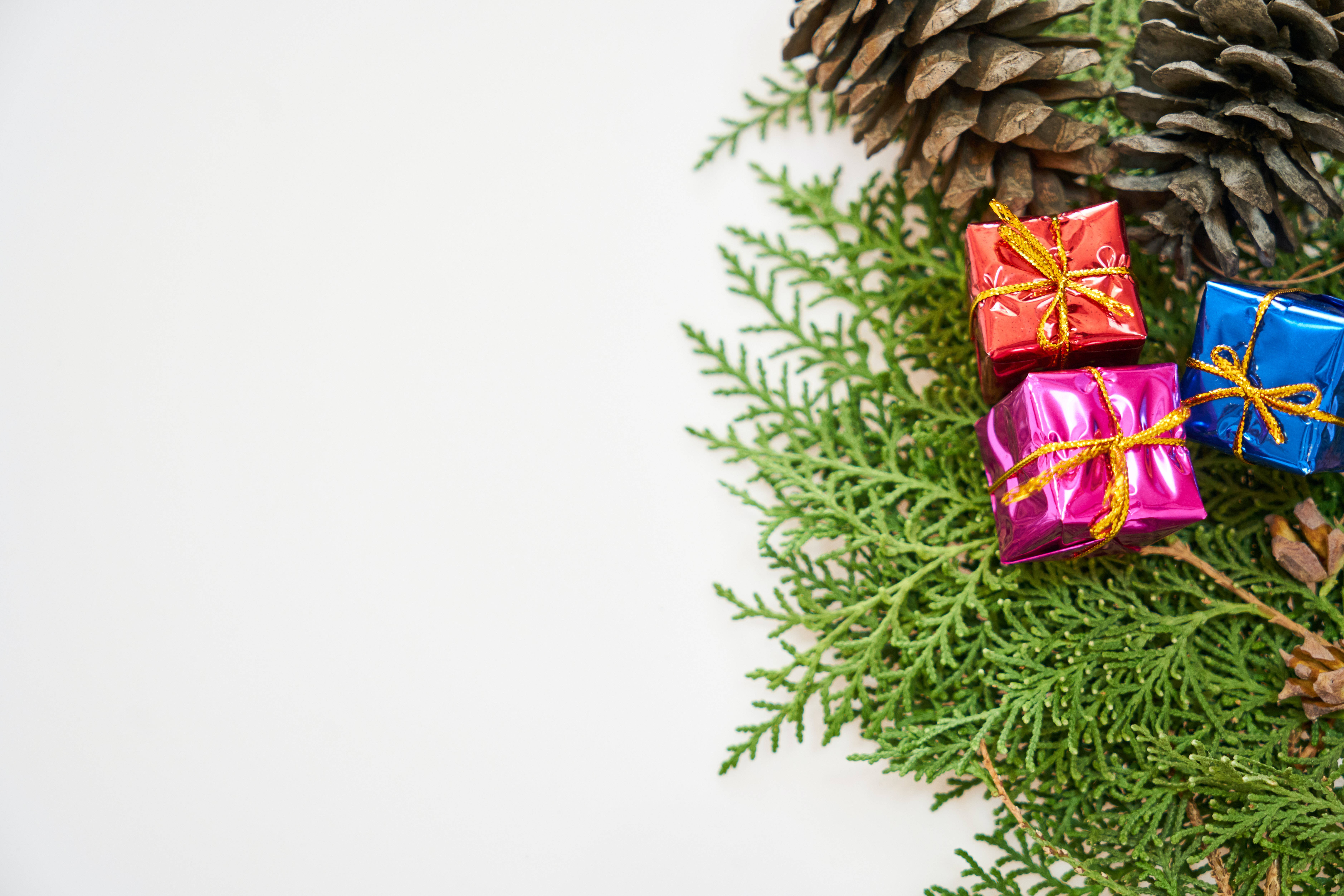 red pink and blue, gold bows, green fir branches, 5K Desktop Wallpaper