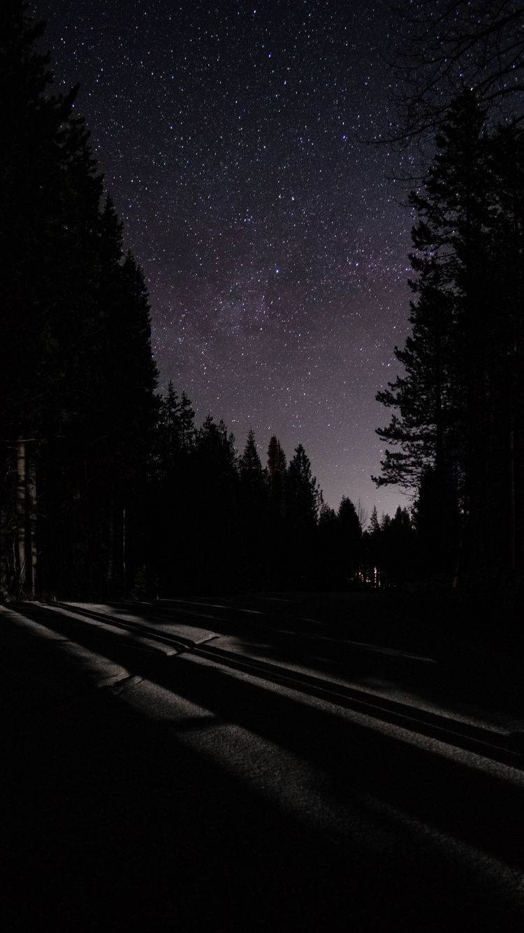Night Sky, starry night sky, dark forest road, HD Phone Wallpaper