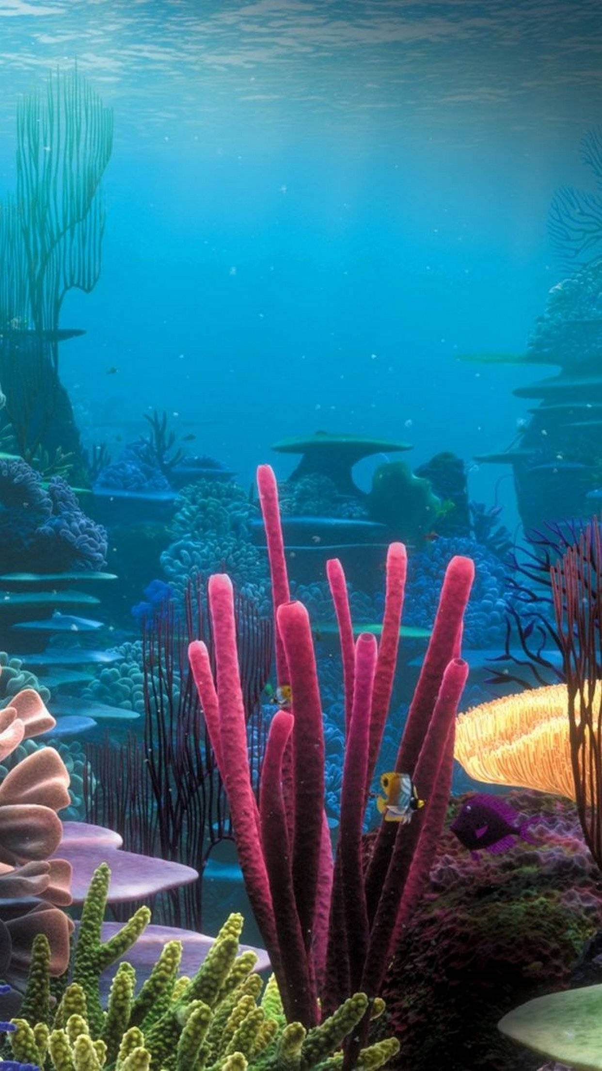 vibrant pink coral stalks, colorful reef, sunlight filters through turquoise water, Full HD Phone Wallpaper