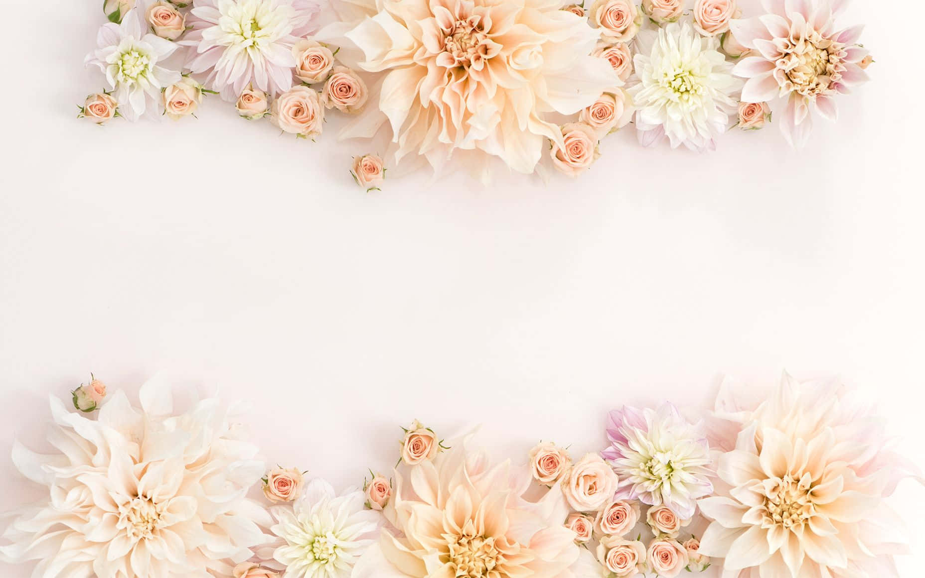 Rose Gold Flowers, peach, white, HD Desktop Wallpaper