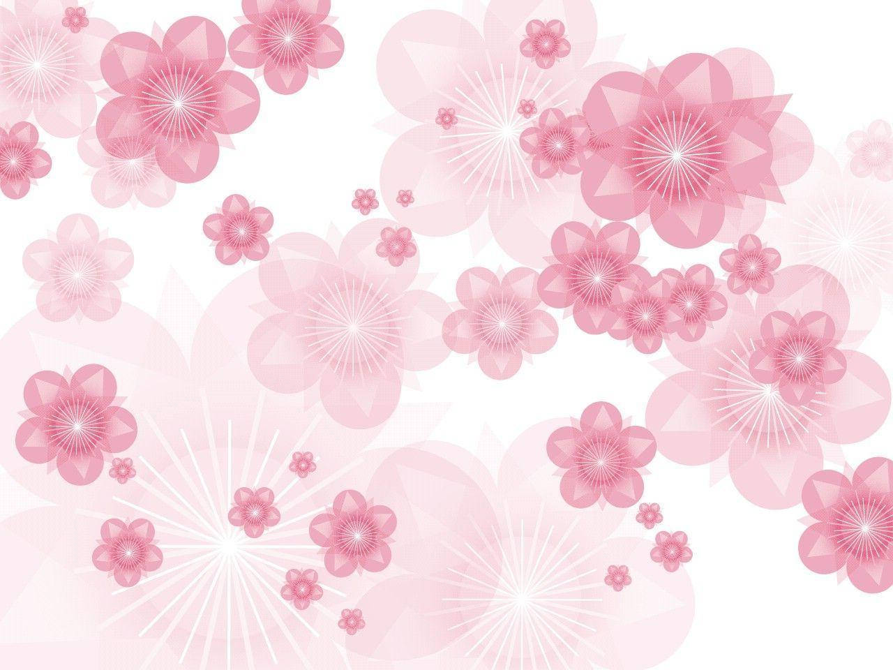 pink flower, geometric flowers, starburst centers, HD Desktop Wallpaper