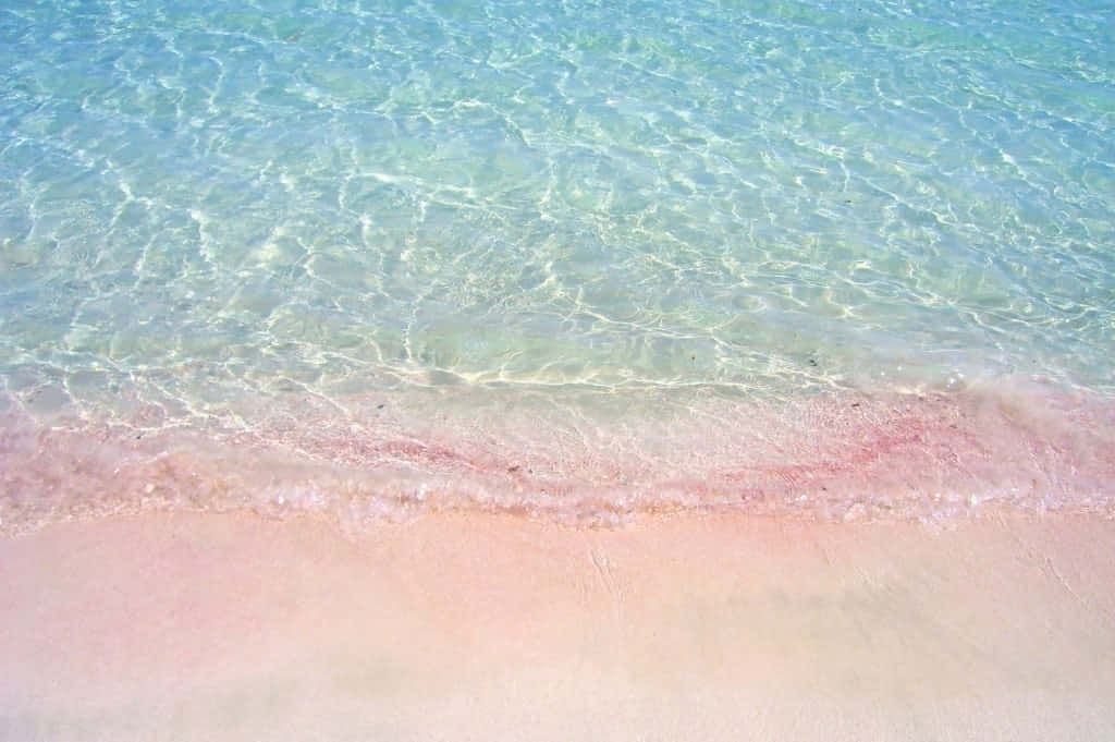 pink sand, turquoise water, soft pink sandy beach, SD Desktop Wallpaper