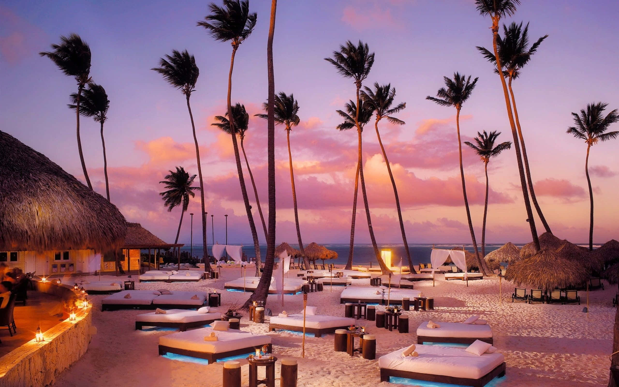 beach sunbed, twilight, palm trees, 2K Desktop Wallpaper