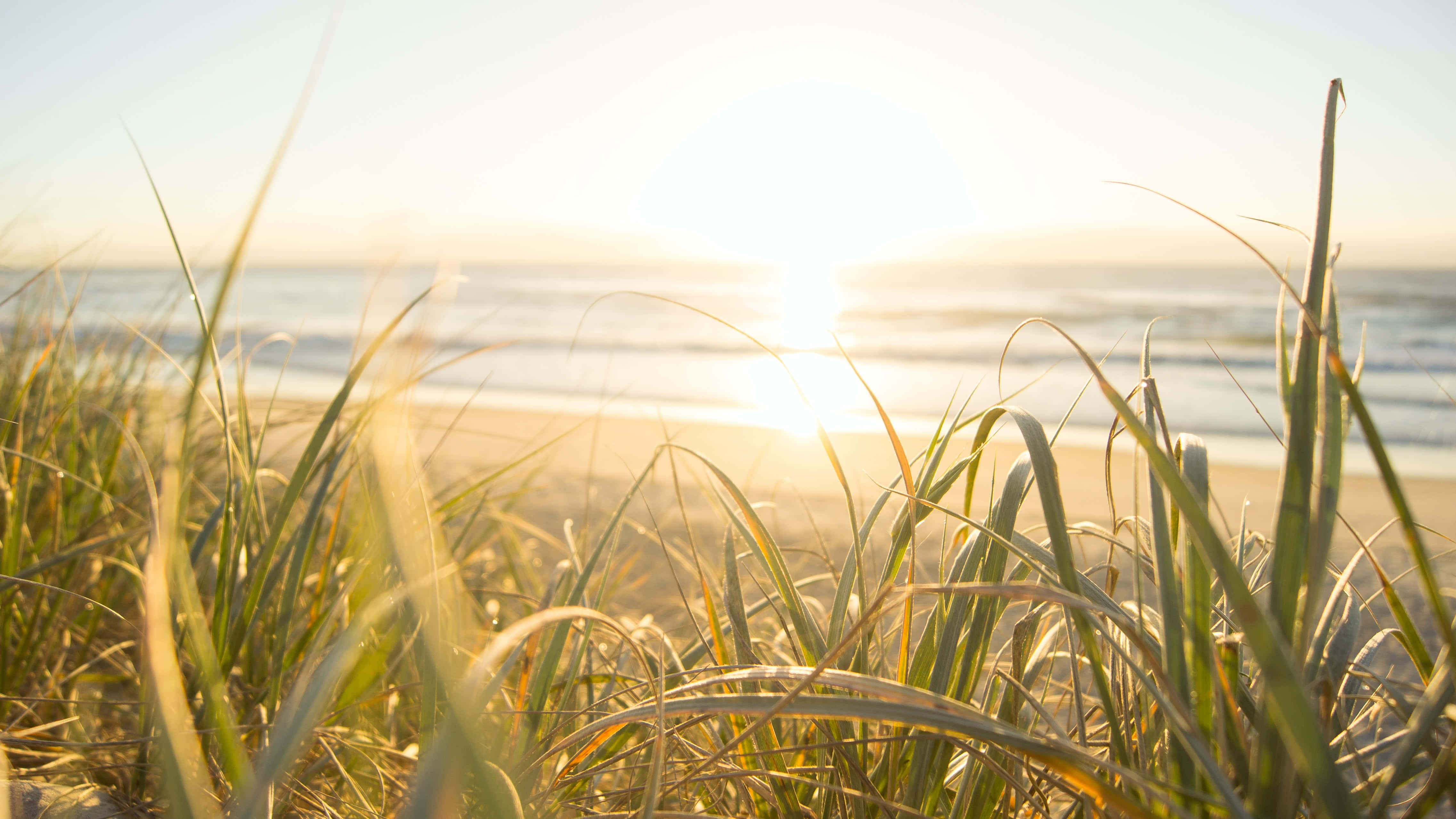 sunrise, ocean waves, golden beach grass, 4K Desktop Wallpaper