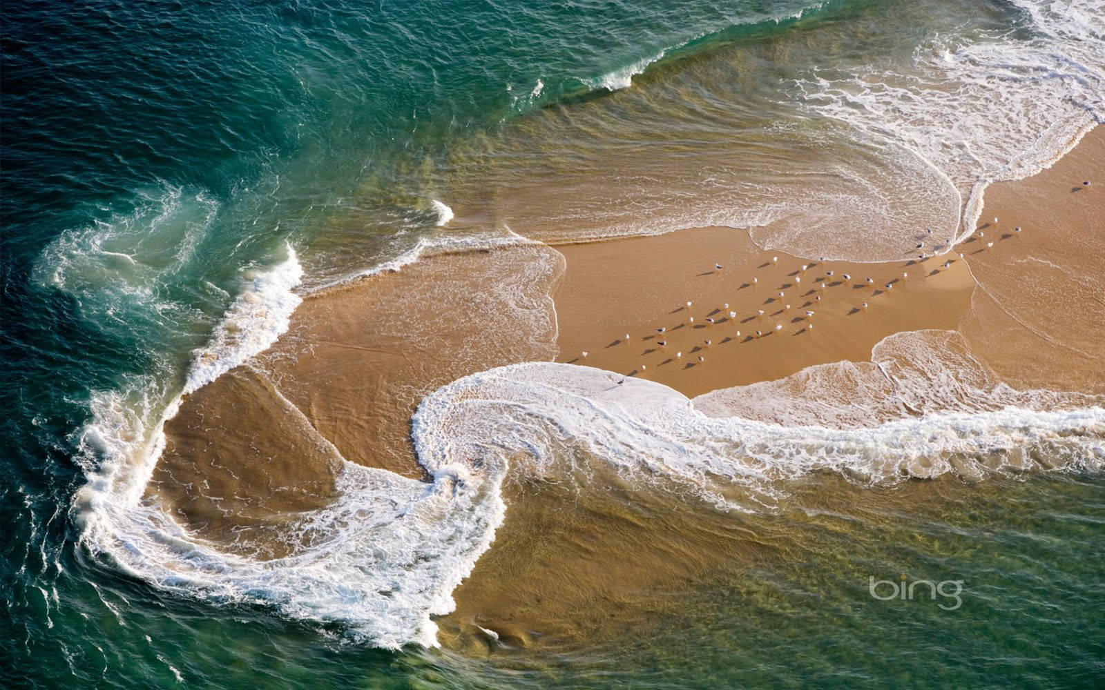 ocean shoreline, turquoise waves, golden sand, HD Desktop Wallpaper