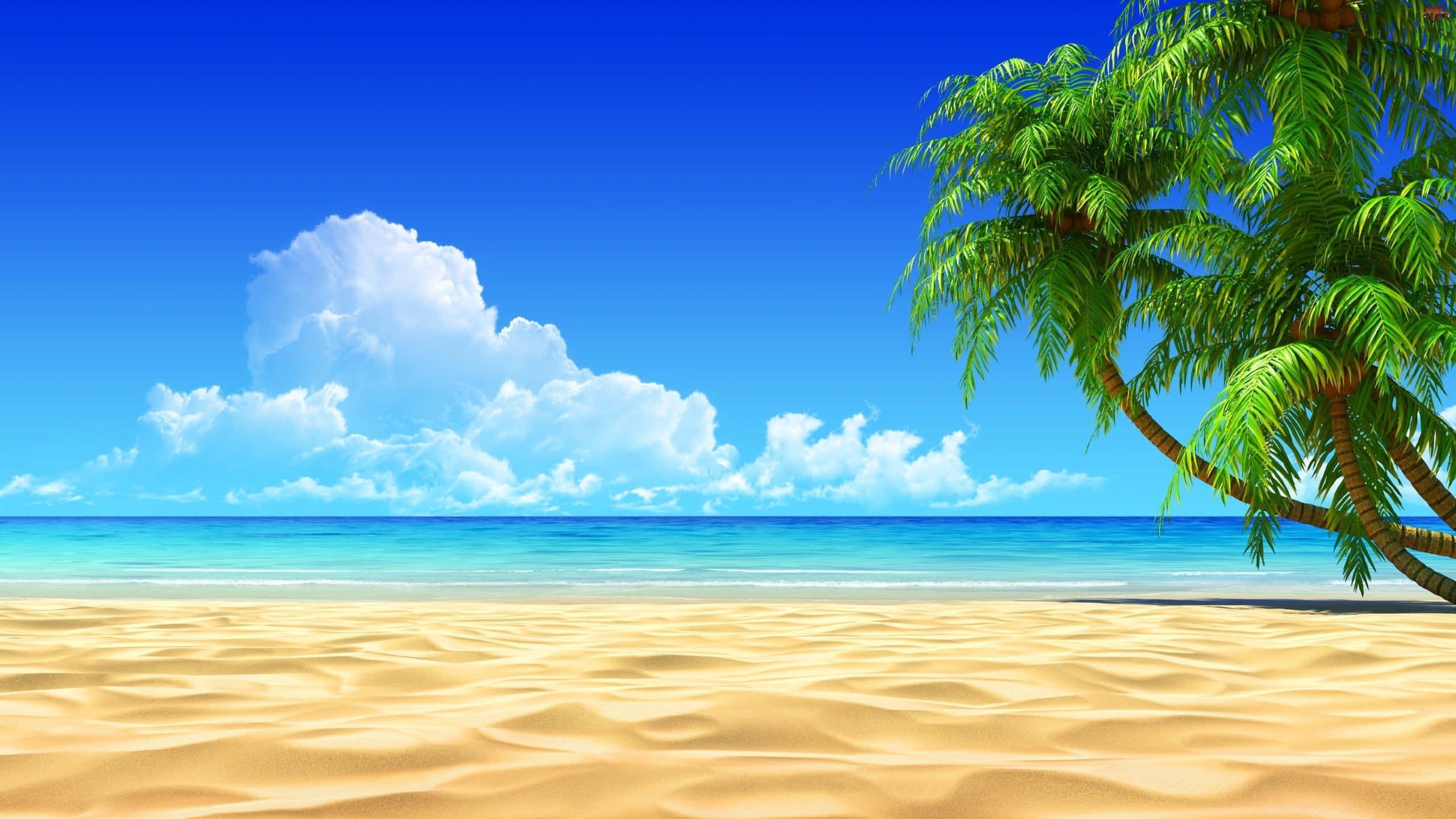 Ocean Beach, golden sand, turquoise ocean, 2K Desktop Wallpaper