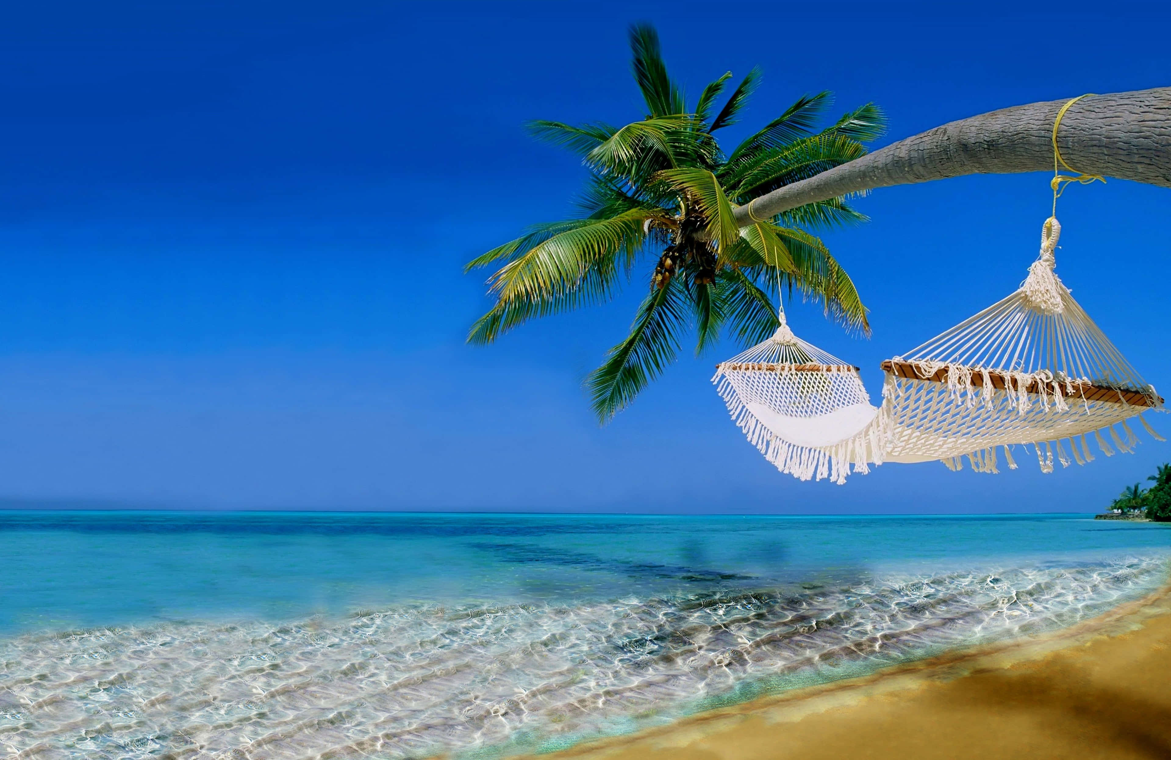 beach holiday, macrame hammocks, palm tree, 4K Desktop Wallpaper