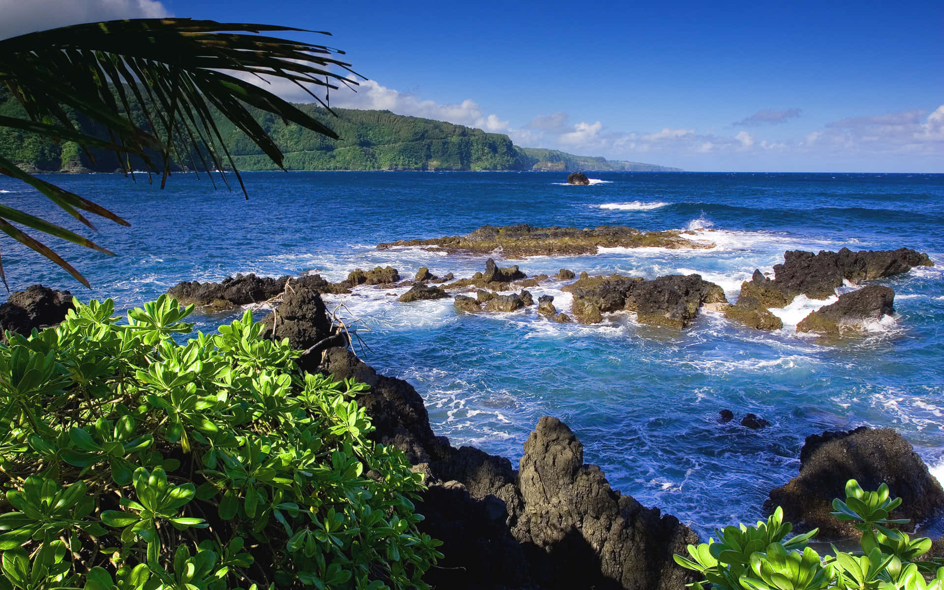 turquoise waves, dark volcanic rocks, lush green foliage, Full HD Desktop Wallpaper