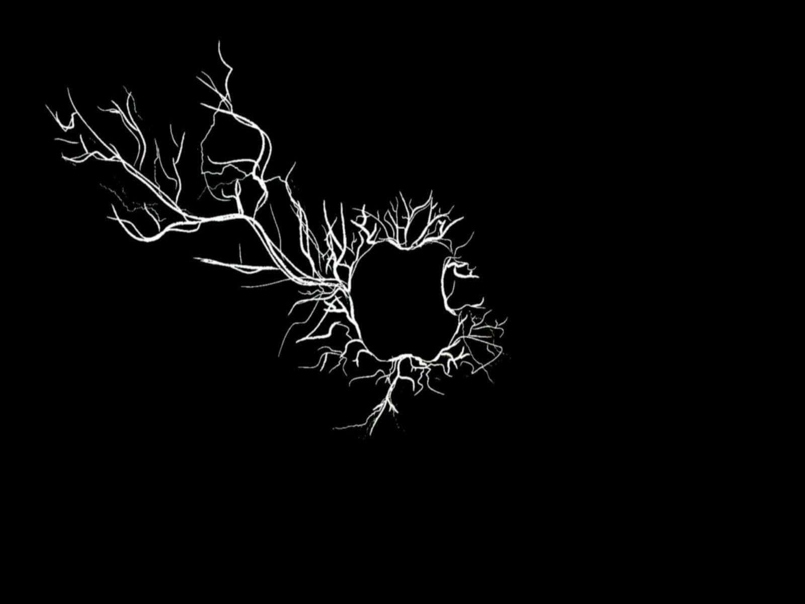 black background, tree, white branching neural network, HD Desktop Wallpaper