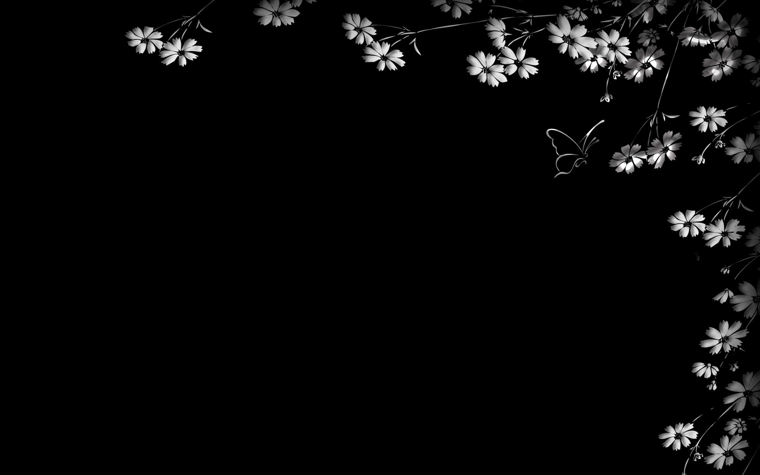 black and white photo, white flowers, butterfly, 2K Desktop Wallpaper