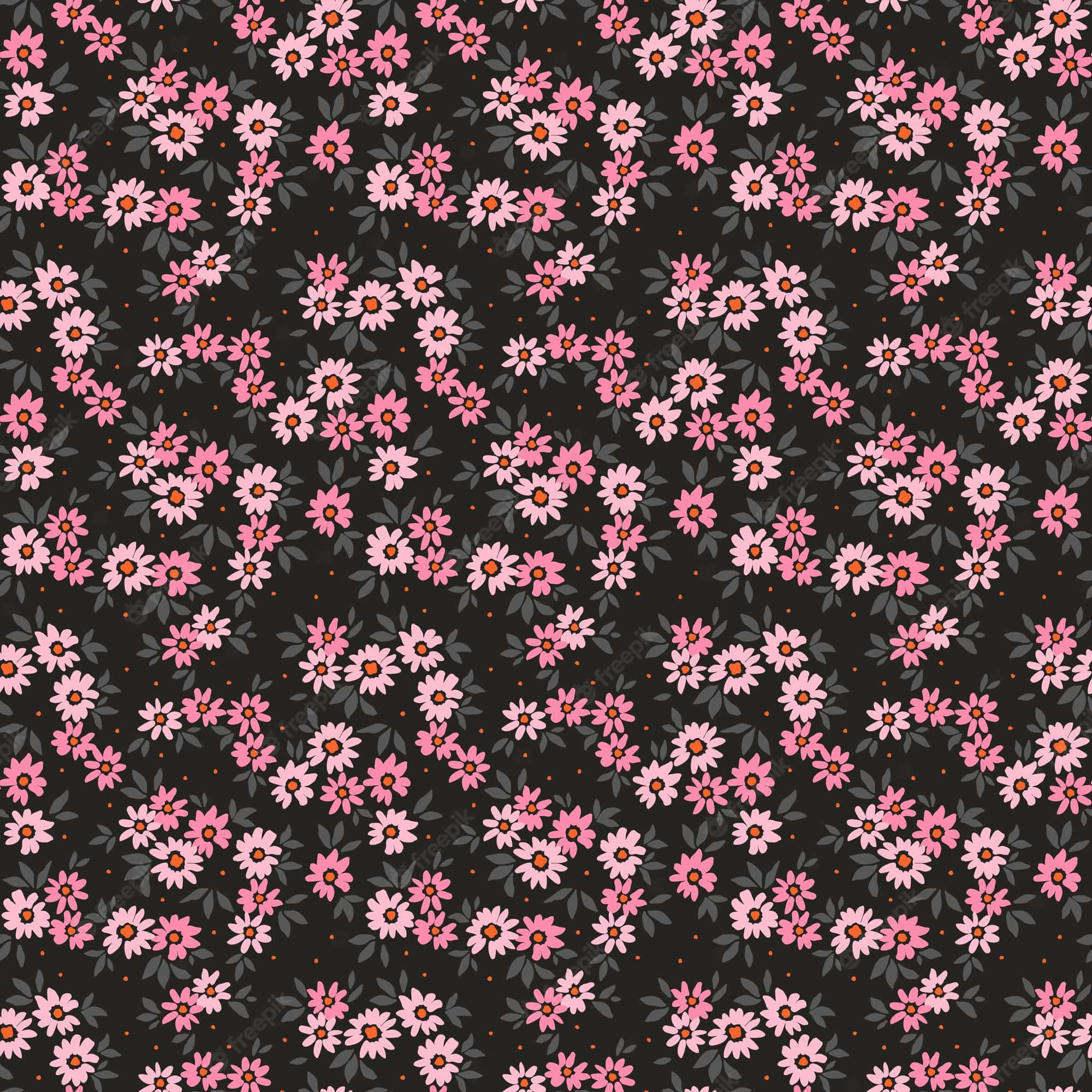 Pretty Black, pink daisies, orange centers, Full HD Desktop Wallpaper