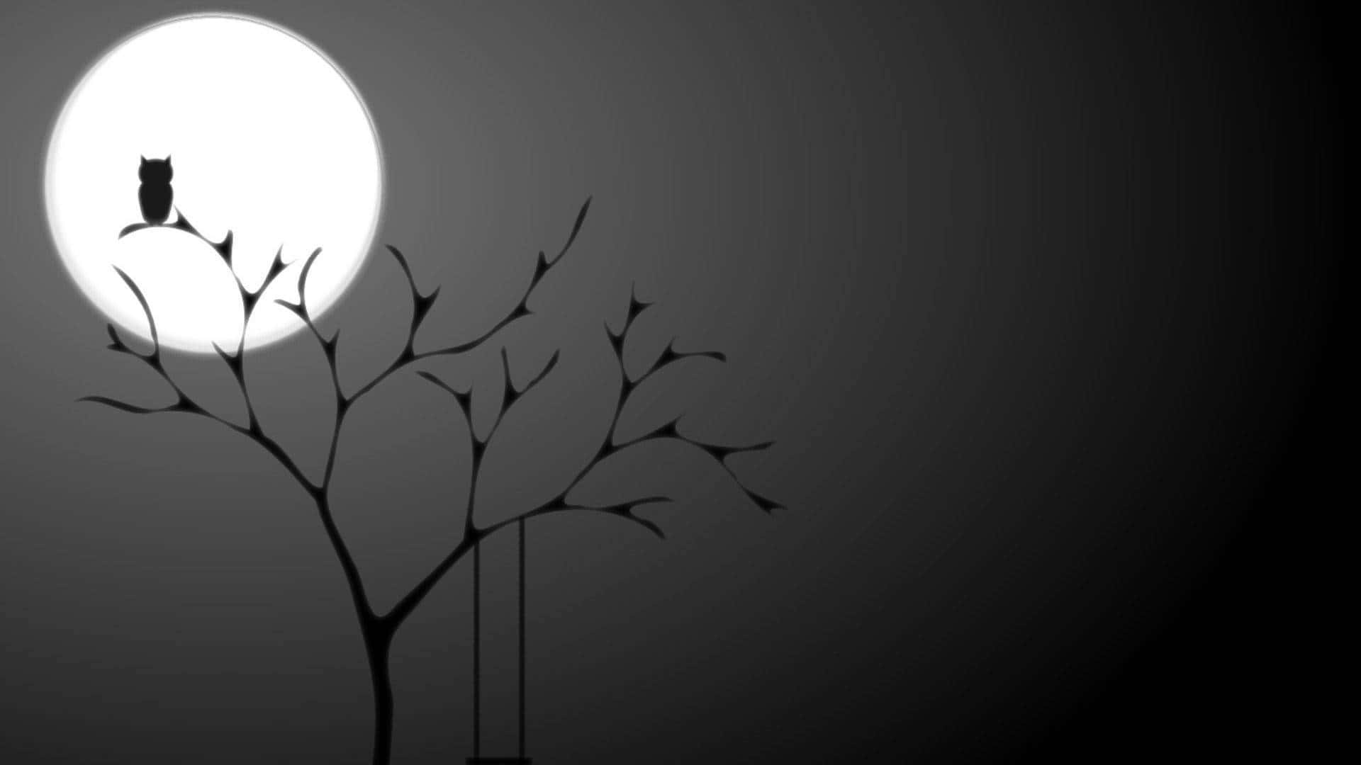 Pretty Black, owl, tree, Full HD Desktop Wallpaper