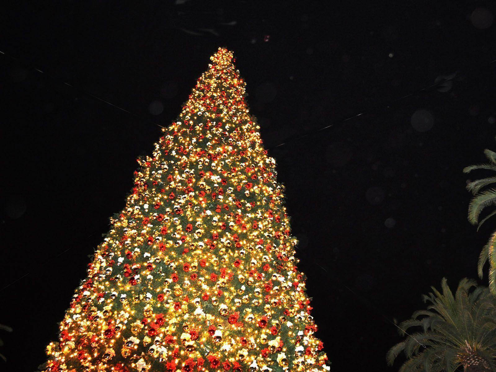 giant Christmas tree, golden and red lights, dark night sky, HD Desktop Wallpaper