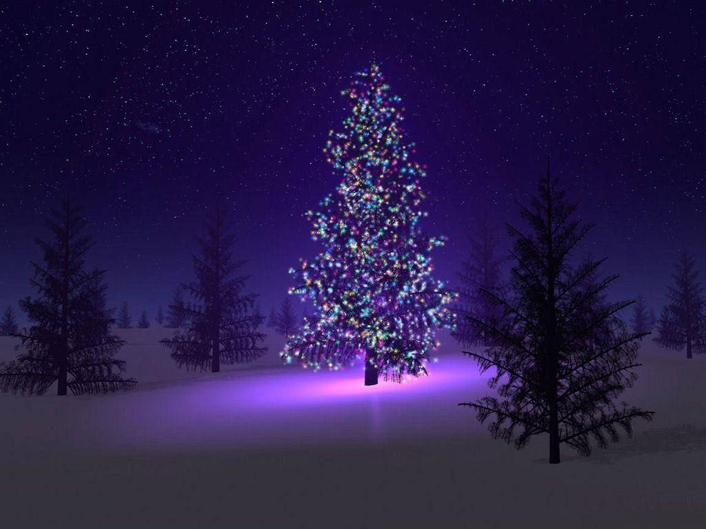 Christmas tree, pretty purple lights, snow-covered pine tree, SD Desktop Wallpaper