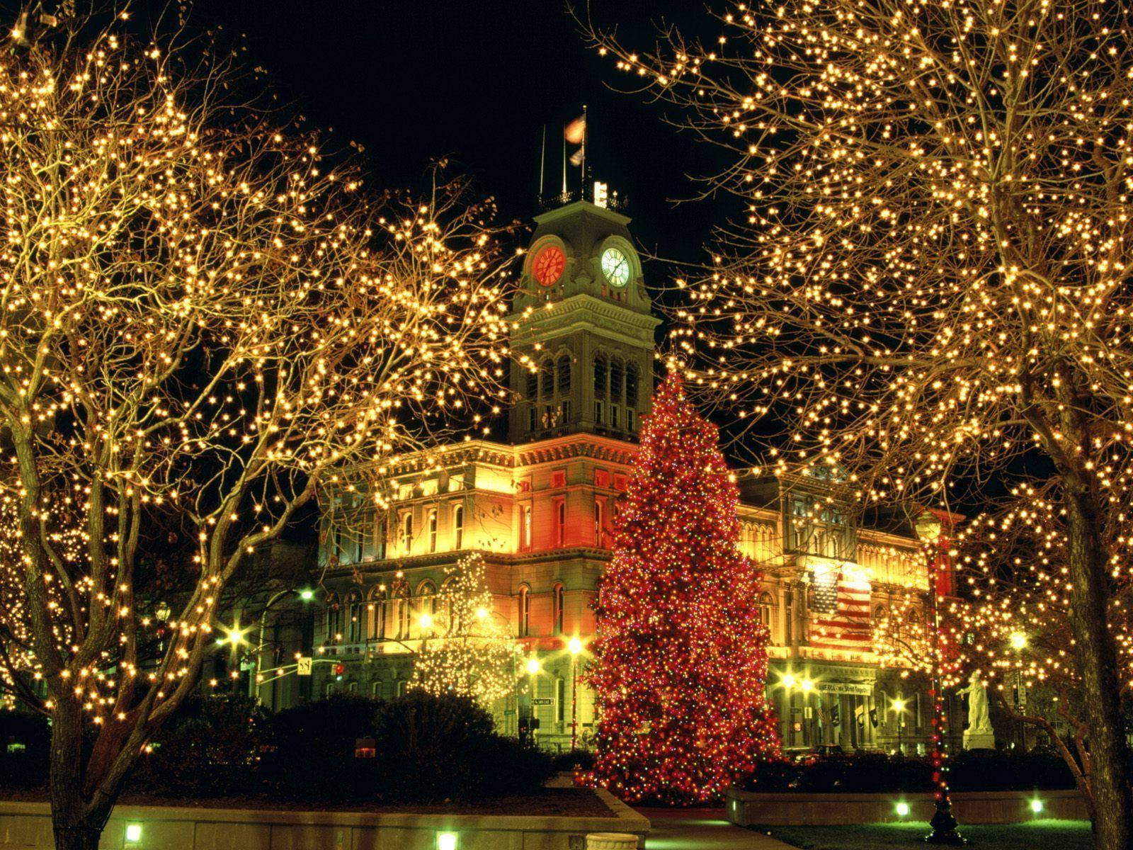 clock tower building, golden fairy lights, red Christmas tree, HD Desktop Wallpaper